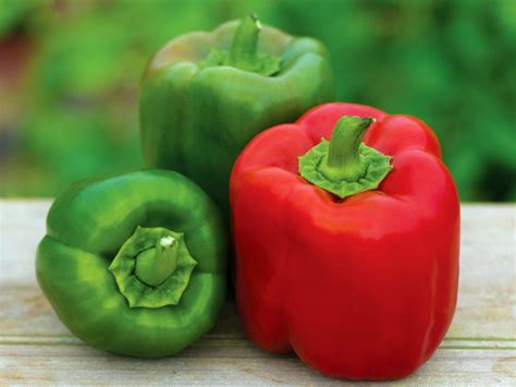 green pepper sexes|Fact check: Bell pepper's bumps do not indicate a gender .